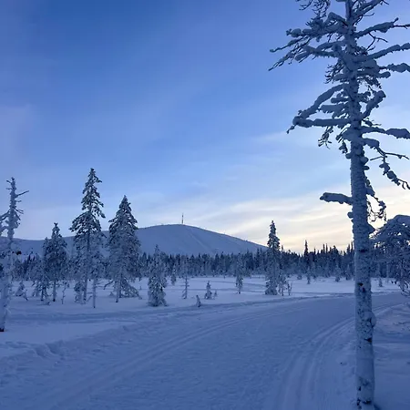 Cloudberry Yllaes, * Äkäslompolo