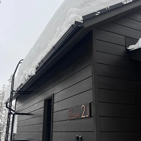 Cloudberry Yllaes, * Äkäslompolo