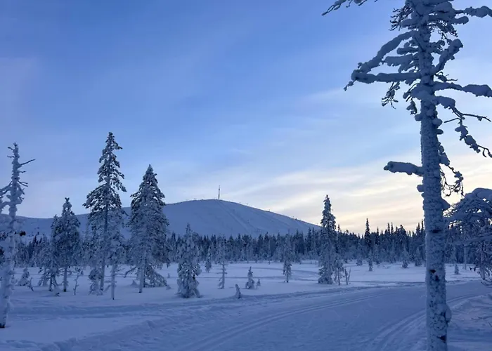 Cloudberry Yllaes, * Akaslompolo