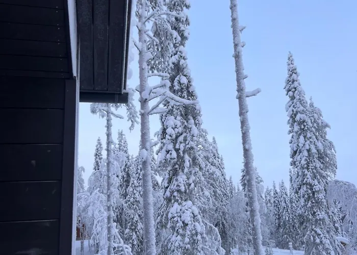 Cloudberry Yllaes, Apartment *